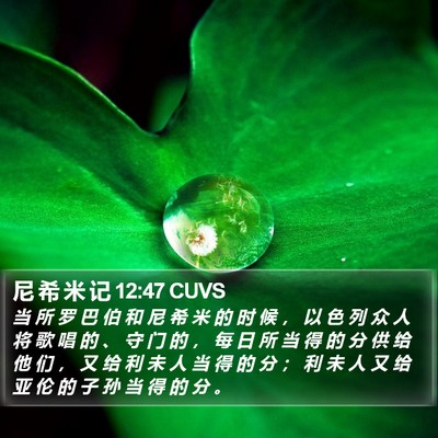 尼 希 米 记 12:47 CUVS Bible Verse Image