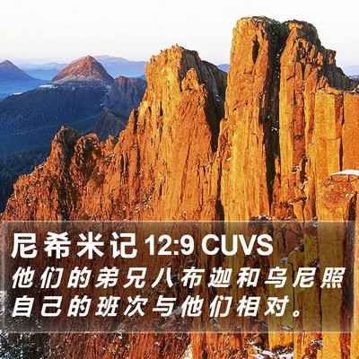 尼 希 米 记 12:9 CUVS Bible Verse Image