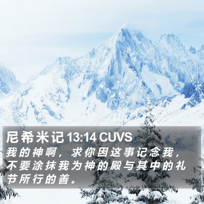 尼 希 米 记 13:14 CUVS Bible Verse Image