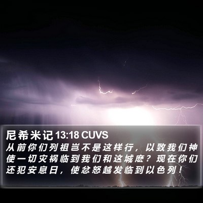 尼 希 米 记 13:18 CUVS Bible Verse Image