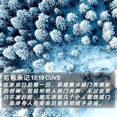 尼 希 米 记 13:19 CUVS Bible Verse Image