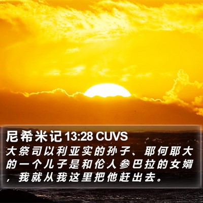 尼 希 米 记 13:28 CUVS Bible Verse Image