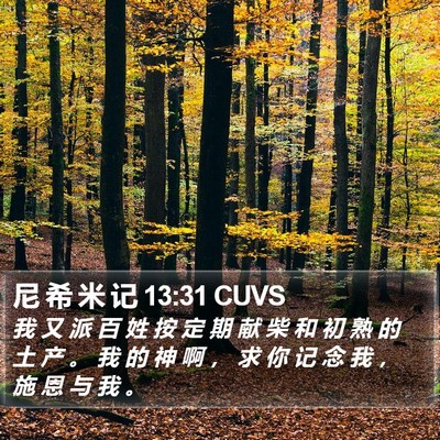 尼 希 米 记 13:31 CUVS Bible Verse Image