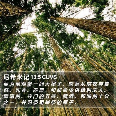 尼 希 米 记 13:5 CUVS Bible Verse Image