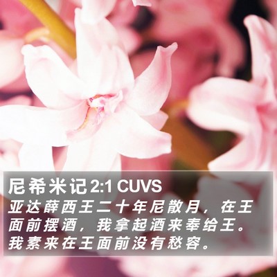 尼 希 米 记 2:1 CUVS Bible Verse Image