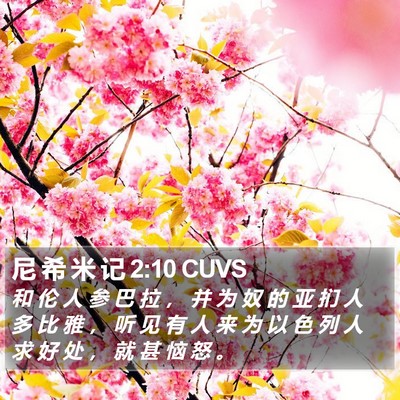尼 希 米 记 2:10 CUVS Bible Verse Image