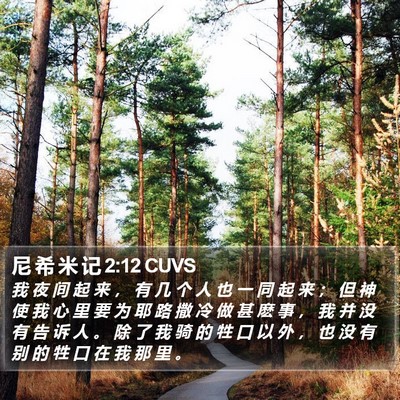 尼 希 米 记 2:12 CUVS Bible Verse Image
