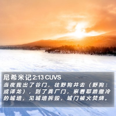 尼 希 米 记 2:13 CUVS Bible Verse Image