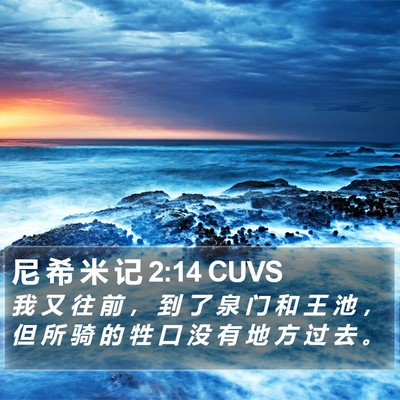 尼 希 米 记 2:14 CUVS Bible Verse Image