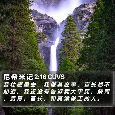 尼 希 米 记 2:16 CUVS Bible Verse Image