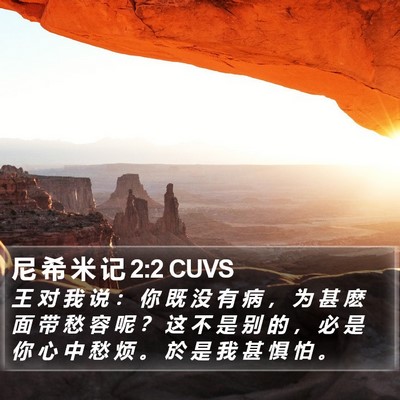 尼 希 米 记 2:2 CUVS Bible Verse Image
