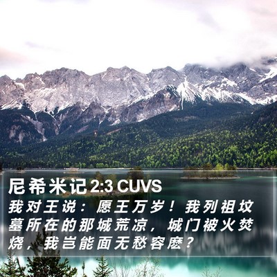 尼 希 米 记 2:3 CUVS Bible Verse Image