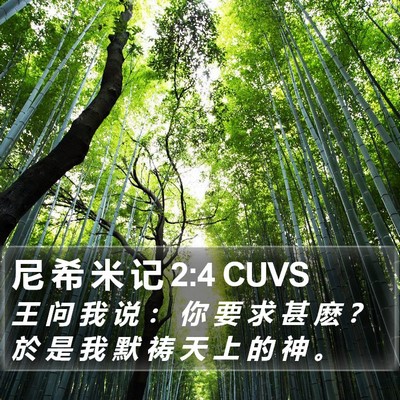 尼 希 米 记 2:4 CUVS Bible Verse Image