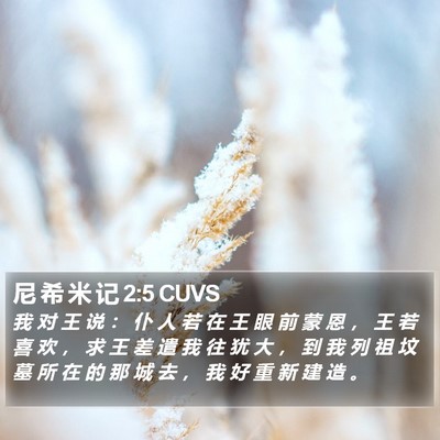 尼 希 米 记 2:5 CUVS Bible Verse Image