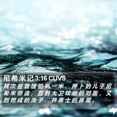 尼 希 米 记 3:16 CUVS Bible Verse Image