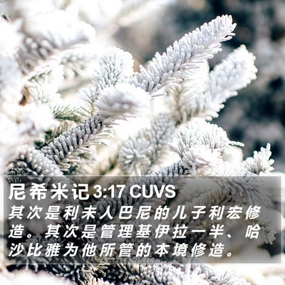 尼 希 米 记 3:17 CUVS Bible Verse Image