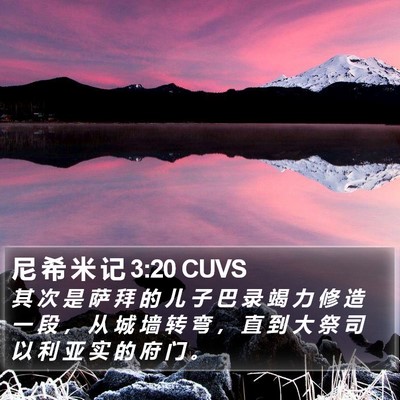 尼 希 米 记 3:20 CUVS Bible Verse Image