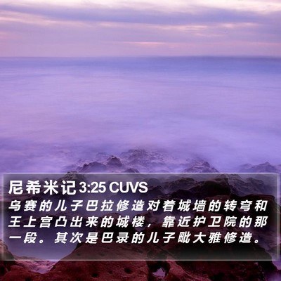 尼 希 米 记 3:25 CUVS Bible Verse Image