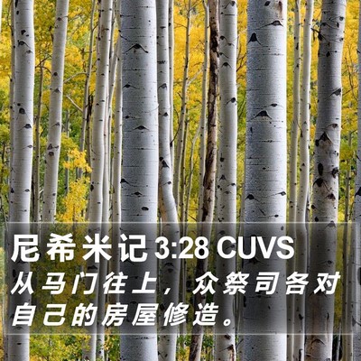 尼 希 米 记 3:28 CUVS Bible Verse Image