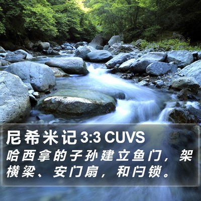 尼 希 米 记 3:3 CUVS Bible Verse Image