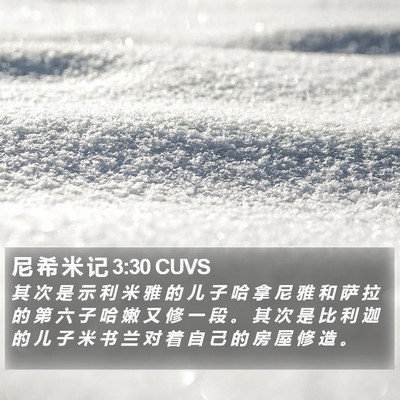 尼 希 米 记 3:30 CUVS Bible Verse Image