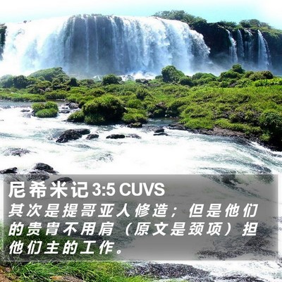 尼 希 米 记 3:5 CUVS Bible Verse Image