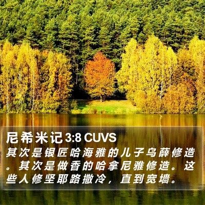 尼 希 米 记 3:8 CUVS Bible Verse Image