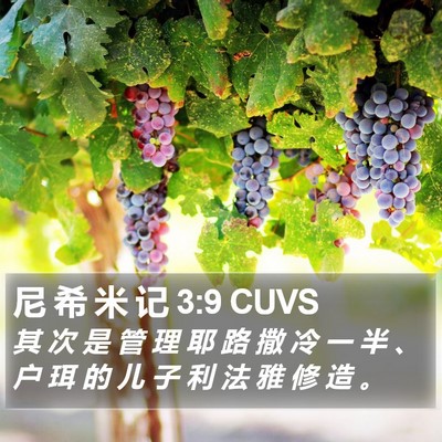 尼 希 米 记 3:9 CUVS Bible Verse Image