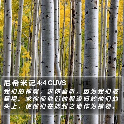 尼 希 米 记 4:4 CUVS Bible Verse Image