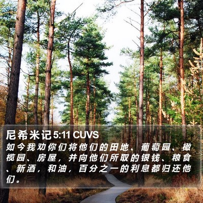 尼 希 米 记 5:11 CUVS Bible Verse Image
