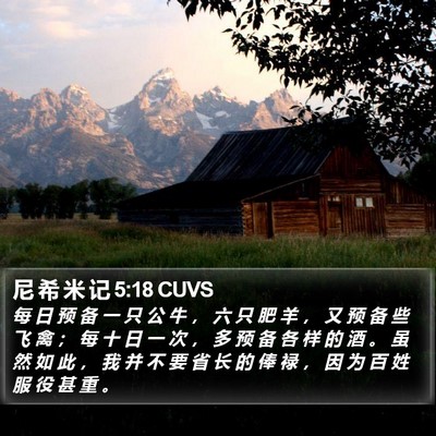 尼 希 米 记 5:18 CUVS Bible Verse Image