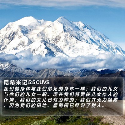 尼 希 米 记 5:5 CUVS Bible Verse Image