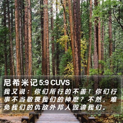 尼 希 米 记 5:9 CUVS Bible Verse Image