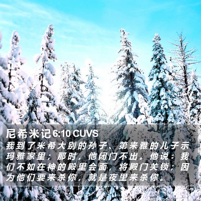 尼 希 米 记 6:10 CUVS Bible Verse Image