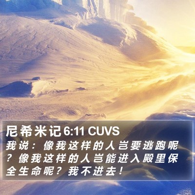 尼 希 米 记 6:11 CUVS Bible Verse Image