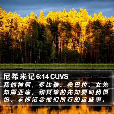 尼 希 米 记 6:14 CUVS Bible Verse Image