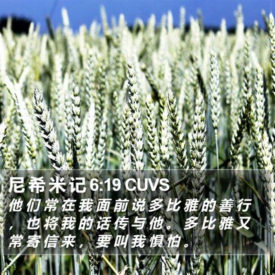 尼 希 米 记 6:19 CUVS Bible Verse Image