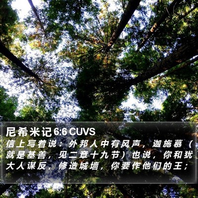尼 希 米 记 6:6 CUVS Bible Verse Image