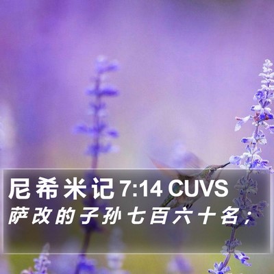尼 希 米 记 7:14 CUVS Bible Verse Image