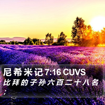 尼 希 米 记 7:16 CUVS Bible Verse Image