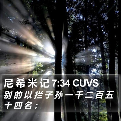 尼 希 米 记 7:34 CUVS Bible Verse Image