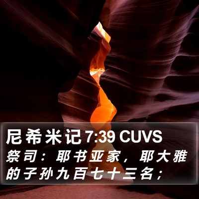 尼 希 米 记 7:39 CUVS Bible Verse Image