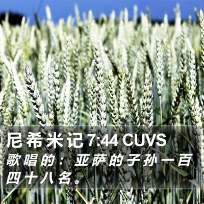 尼 希 米 记 7:44 CUVS Bible Verse Image