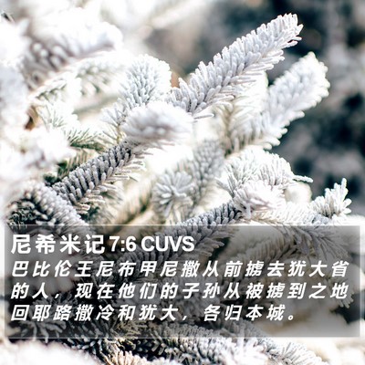 尼 希 米 记 7:6 CUVS Bible Verse Image