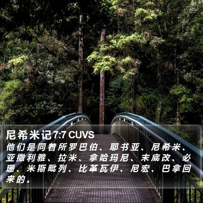 尼 希 米 记 7:7 CUVS Bible Verse Image