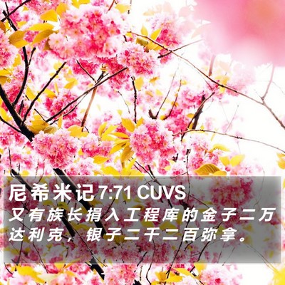 尼 希 米 记 7:71 CUVS Bible Verse Image