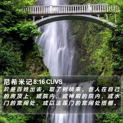 尼 希 米 记 8:16 CUVS Bible Verse Image