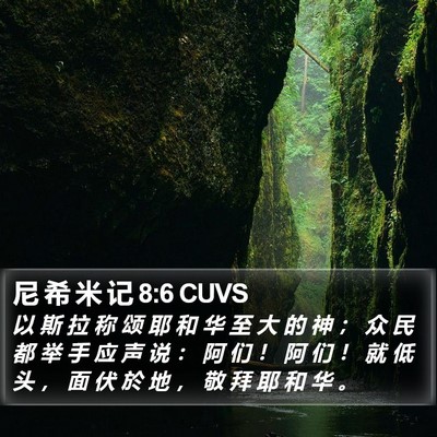 尼 希 米 记 8:6 CUVS Bible Verse Image
