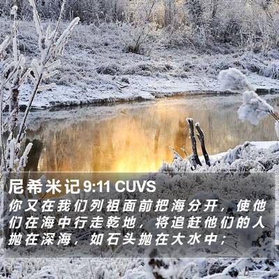尼 希 米 记 9:11 CUVS Bible Verse Image