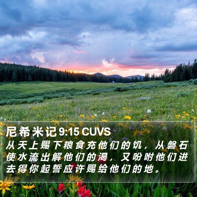 尼 希 米 记 9:15 CUVS Bible Verse Image